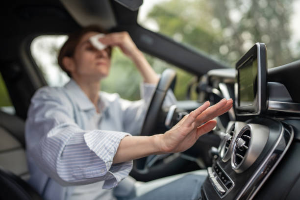Best Air Conditioning Repair  in Arcadia, SC